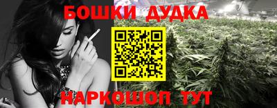 spice Новокубанск