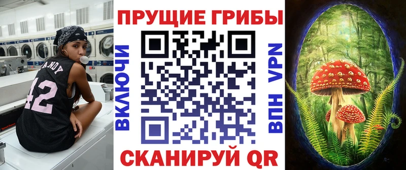 Галлюциногенные грибы Cubensis наркота Тутаев
