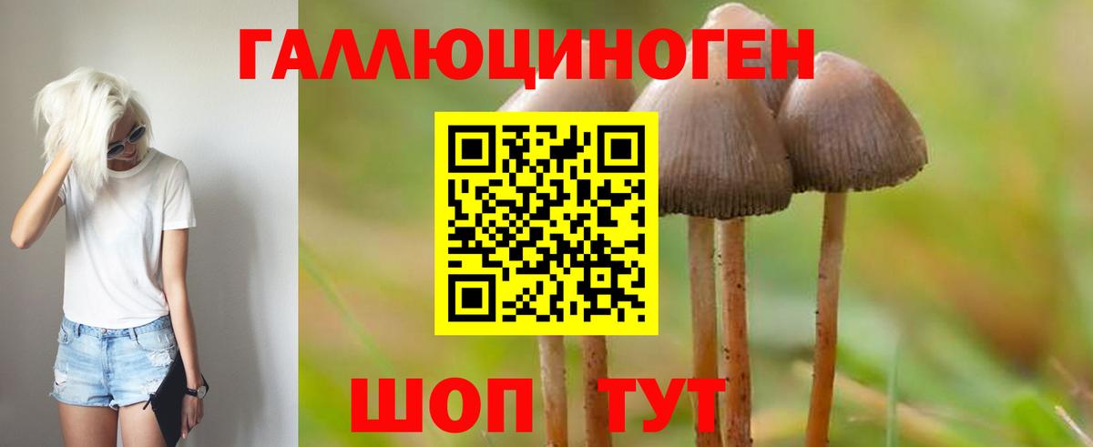 Псилоцибиновые грибы ЛСД Тутаев